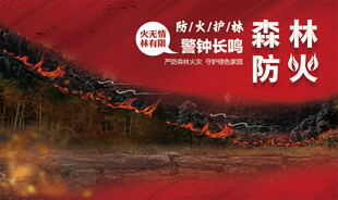 森林防火宣传画面