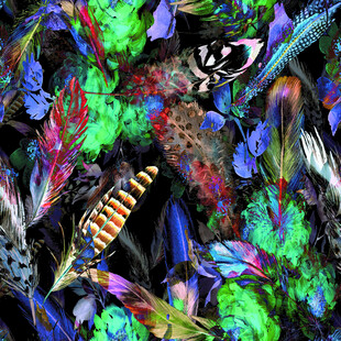 奇幻多彩的昆虫艺术图案