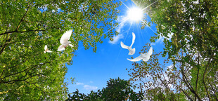 蓝天白云软膜吊顶