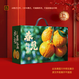 丑橘包装礼盒