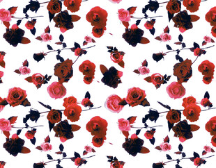 白底玫瑰花图案背景