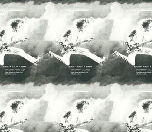 水墨飞鸟图案设计素材