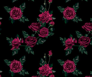 黑色底粉色玫瑰花卉图案