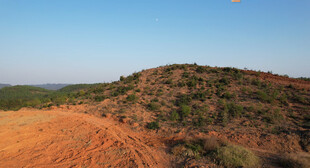 红土山丘与蓝天绿植景观
