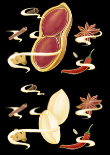 五香花生香料包装插画手绘图