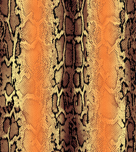 蛇皮纹理图案