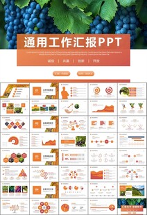 葡萄庄园新疆葡萄葡萄酒PPT