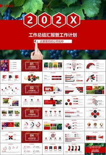 葡萄庄园新疆葡萄葡萄酒PPT