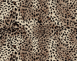 豹纹图案纹理背景图