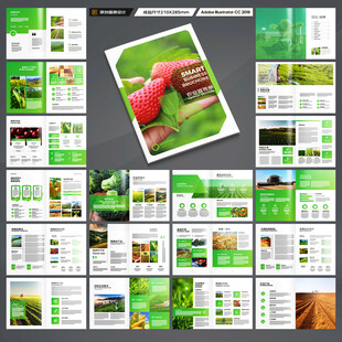 农产品宣传册