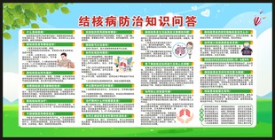 结核病日宣传栏