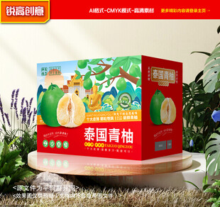 青柚包装 蜜柚礼盒