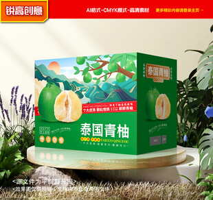 青柚包装 蜜柚礼盒