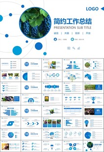 葡萄庄园新疆葡萄葡萄酒PPT