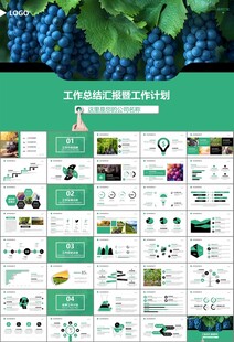 葡萄庄园新疆葡萄葡萄酒PPT