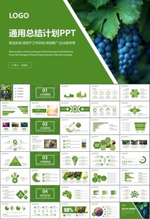 葡萄庄园新疆葡萄葡萄酒PPT