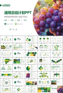 葡萄庄园新疆葡萄葡萄酒PPT