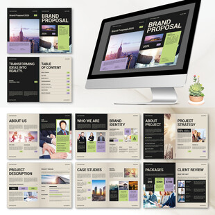 现代和专业的提案indd模板