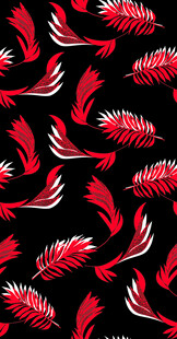红色羽毛图案黑色背景