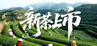 新茶上市