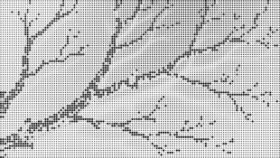 树杆树枝镂空图