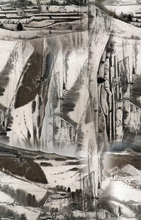 黑白风格自然景观画面