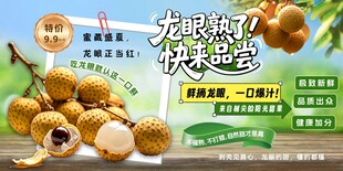 龙眼海报