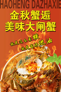 大闸蟹宣传海报