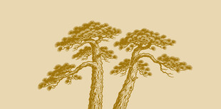 手绘水墨风长寿松树