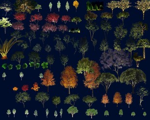 发光树 夜景树 亮化素材