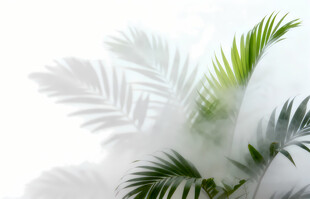 雾气磨砂膜效果绿植贴图