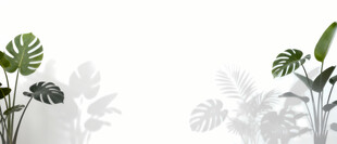 雾气磨砂膜效果绿植贴图