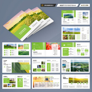 方形农产品宣传册