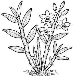 铁皮石斛 中药材矢量图