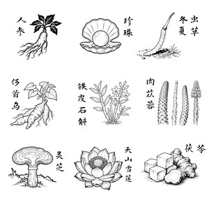 九大仙草 中草药插画线稿图