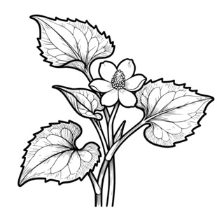 鱼腥草 线稿矢量图