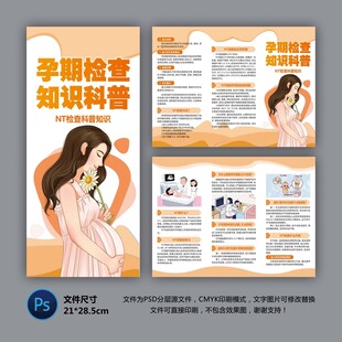 NT筛查健康知识