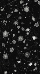 黑白抽象雪花散布画面