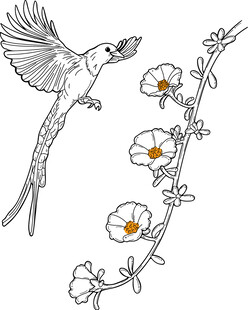 飞鸟戏花图 矢量图