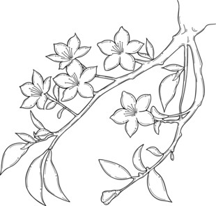 手绘花卉枝条图案 矢量图