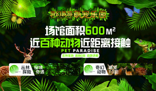 优格花园DIY活动宣传图