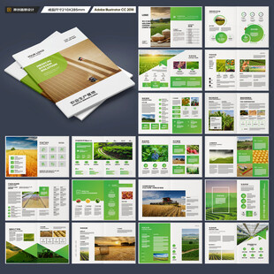 农产品宣传册