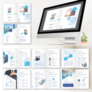 优雅现代和专业的提案ID模板