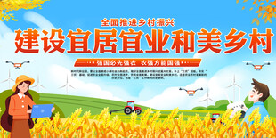 建设和美乡村宣传展板