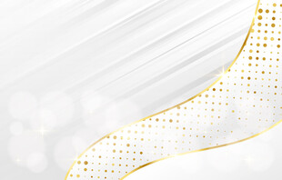 白色金点质感线条背景图