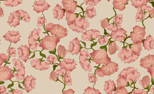 大牌粉色花卉图案背景