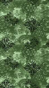 扫描绿色植物纹理照片