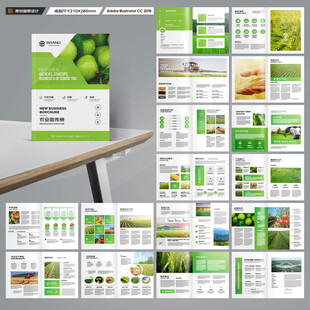 农产品宣传册