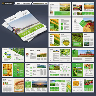 农产品宣传册