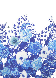 蓝白花卉水彩